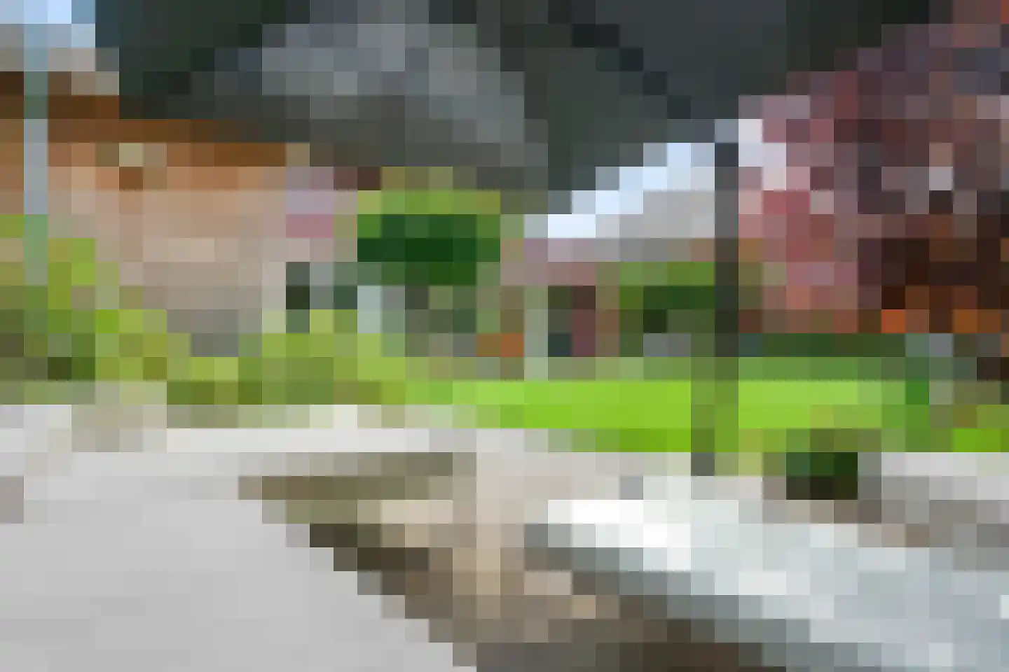 Hoften 4 Haren Gn thumbnail 76