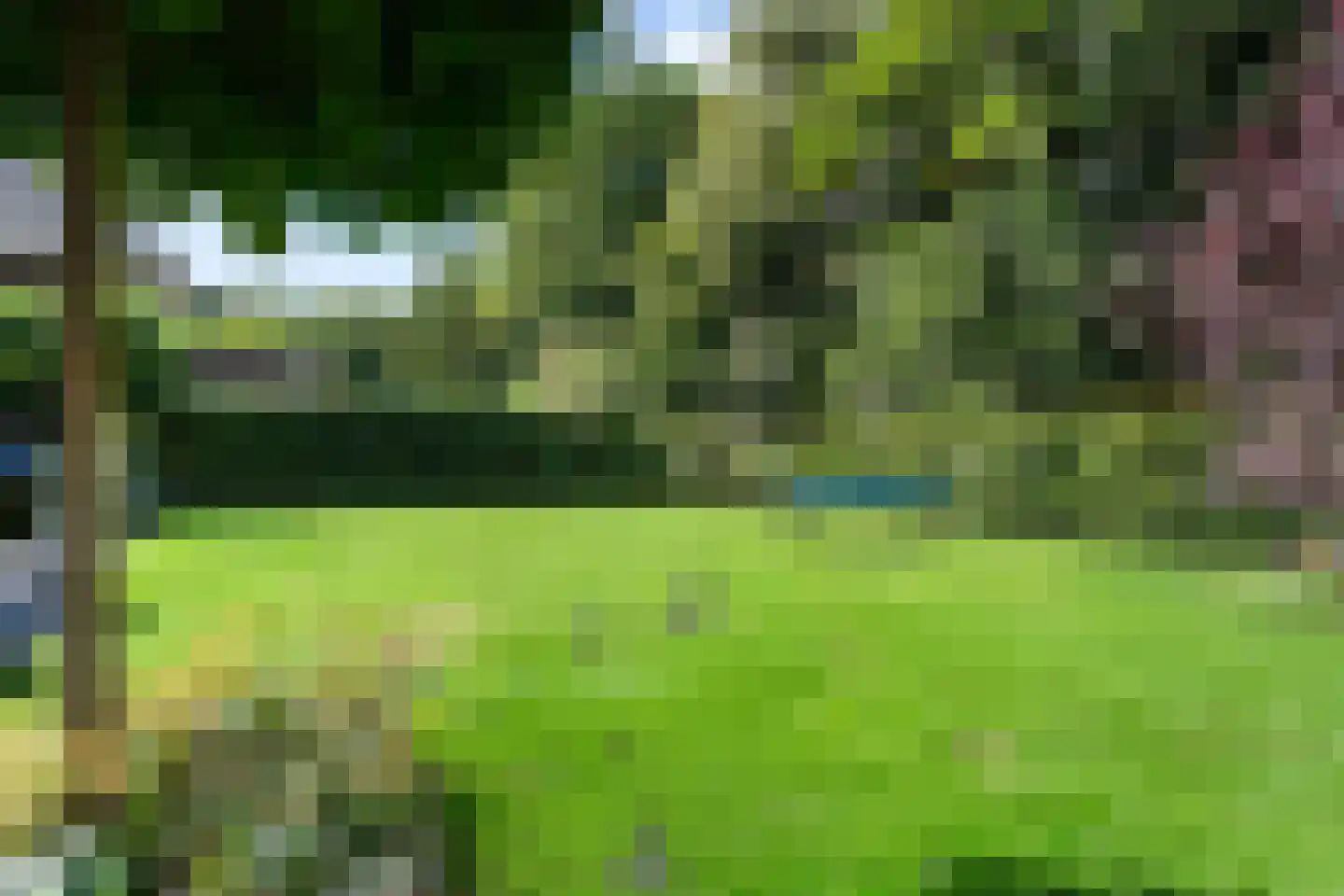 Hoften 4 Haren Gn thumbnail 78