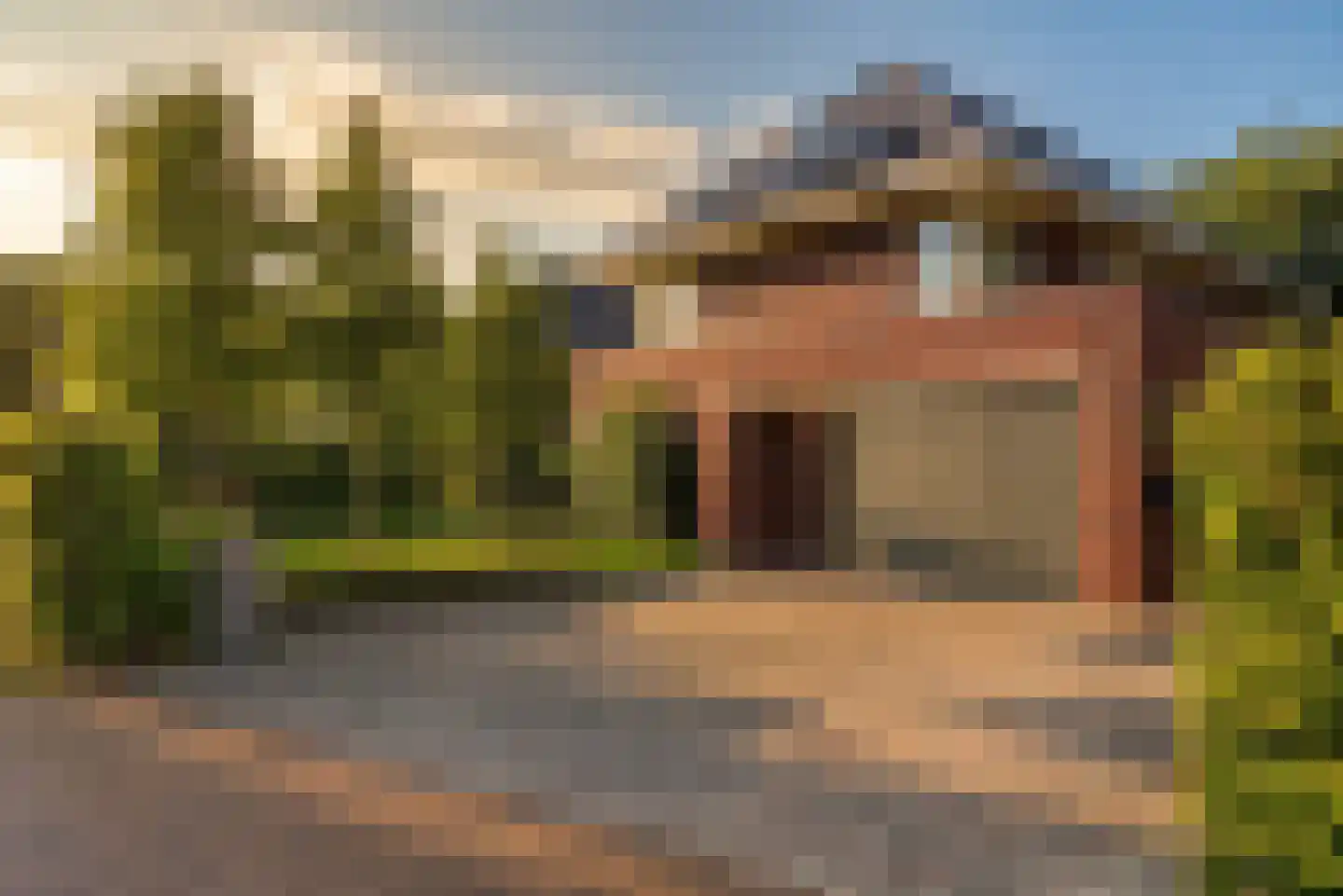 Hoften 4 Haren Gn thumbnail 80
