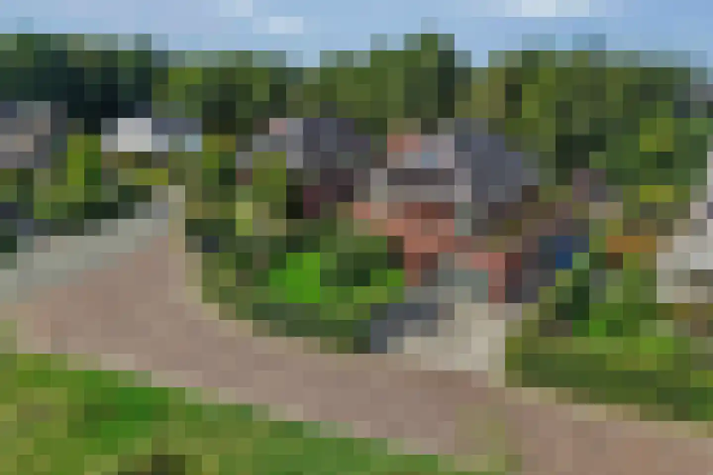 Hoften 4 Haren Gn thumbnail 85