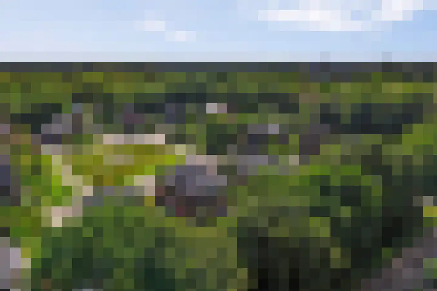 Hoften 4 Haren Gn thumbnail 86