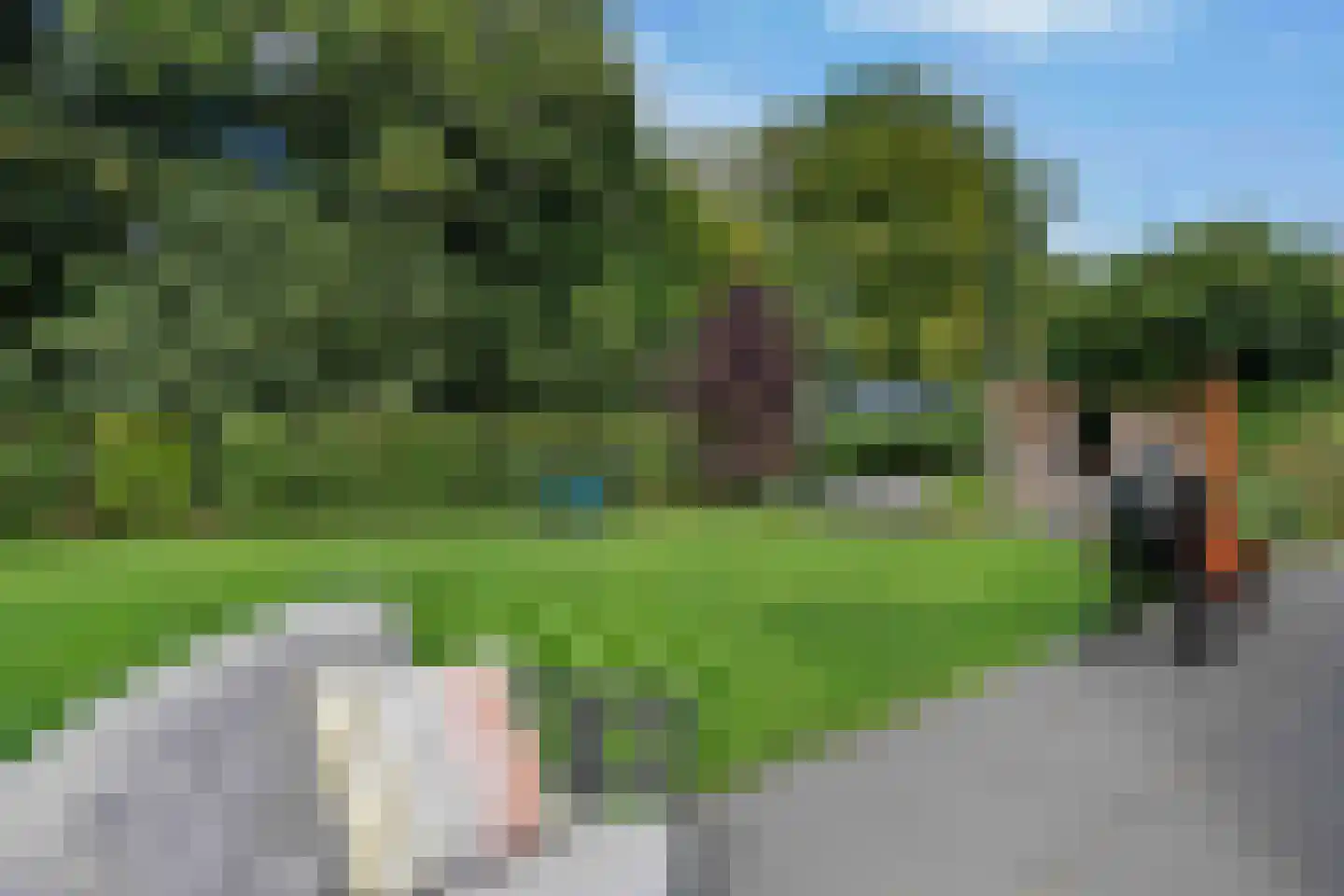 Hoften 4 Haren Gn thumbnail 9