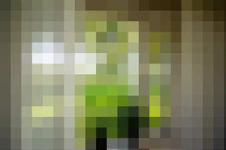 Höftendiek 6 Hertme thumbnail 16