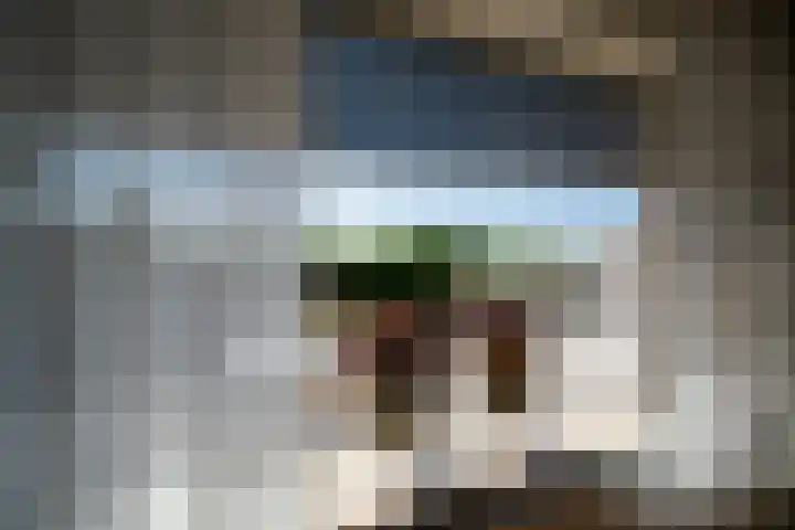 Höftendiek 6 Hertme thumbnail 17