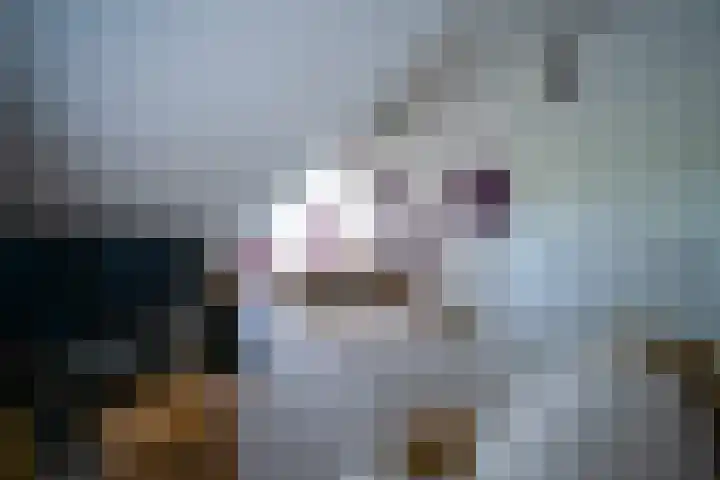 Höftendiek 6 Hertme thumbnail 25