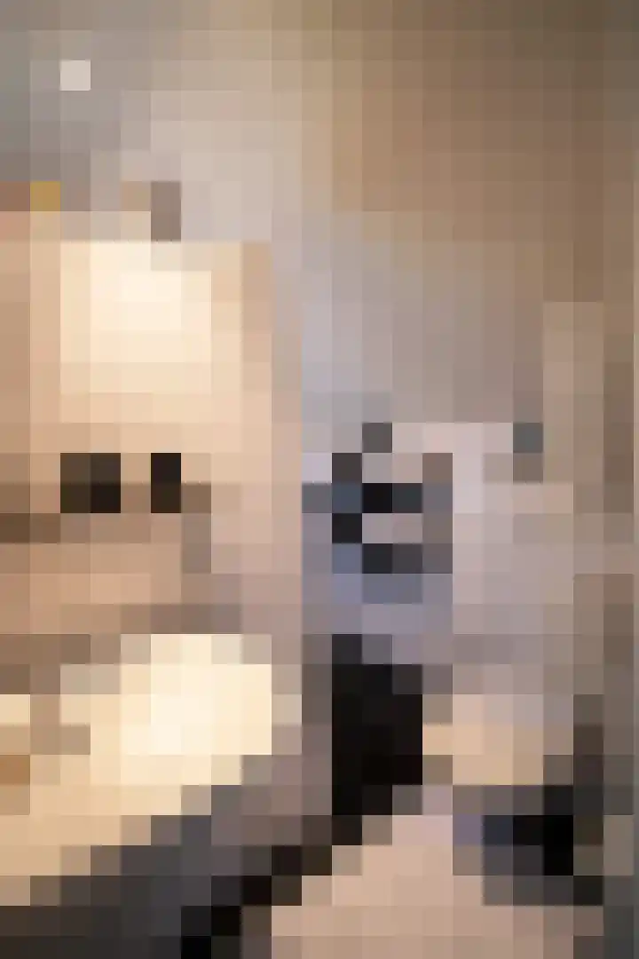 Höftendiek 6 Hertme thumbnail 29