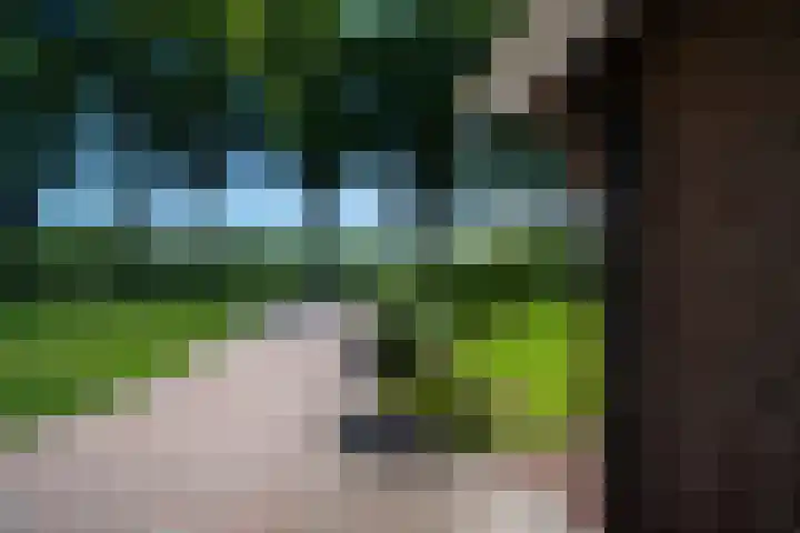 Höftendiek 6 Hertme foto 3