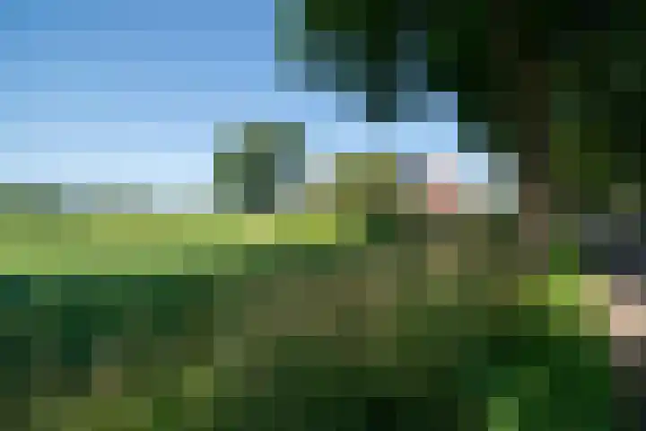 Höftendiek 6 Hertme thumbnail 36