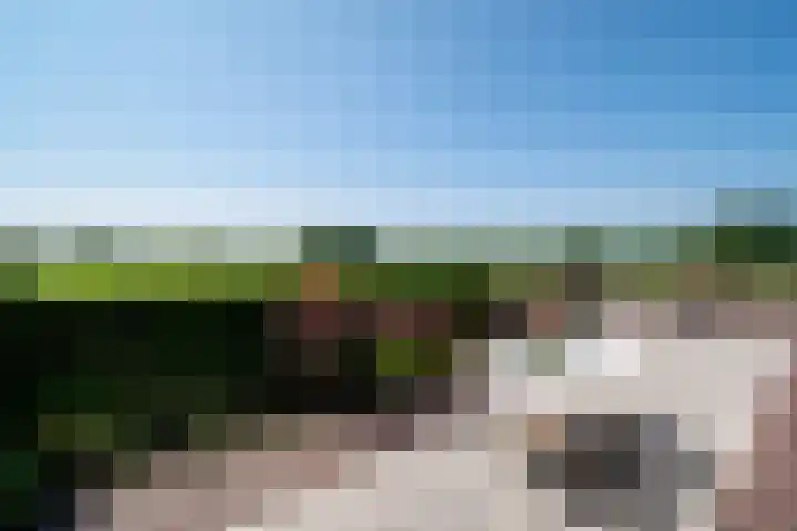 Höftendiek 6 Hertme thumbnail 4