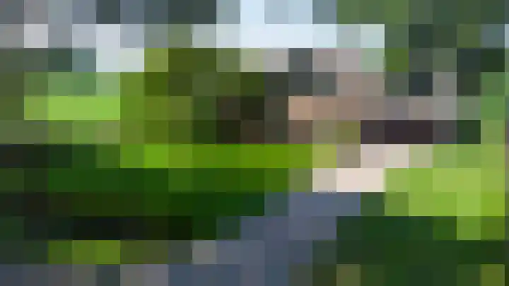 Höftendiek 6 Hertme thumbnail 41