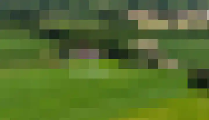 Höftendiek 6 Hertme thumbnail 7
