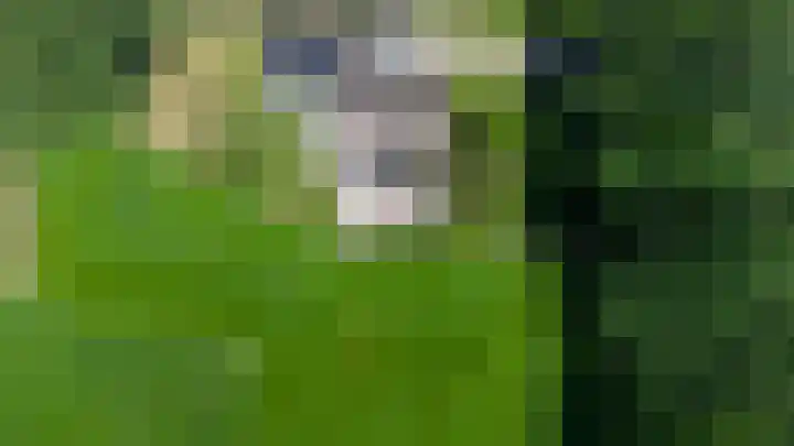 Höftendiek 6 Hertme thumbnail 9