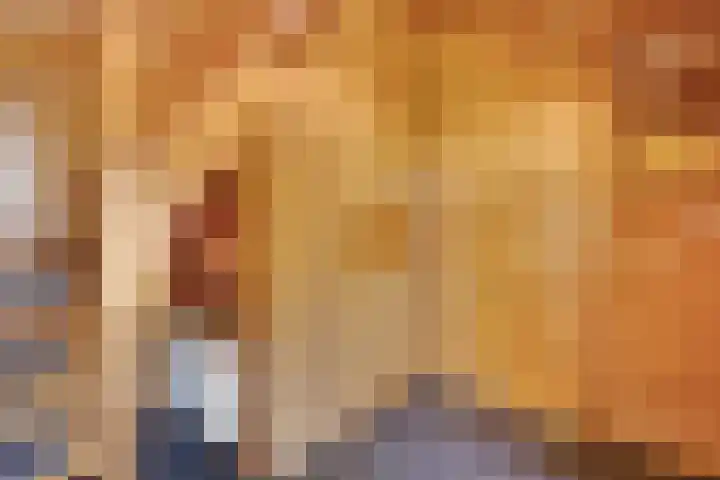 Höfteweg 2 l Ruurlo thumbnail 16