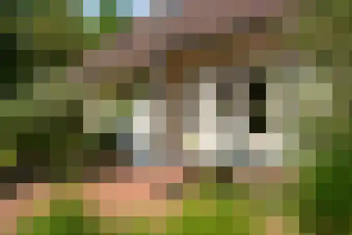 Höfteweg 2 l Ruurlo thumbnail 24