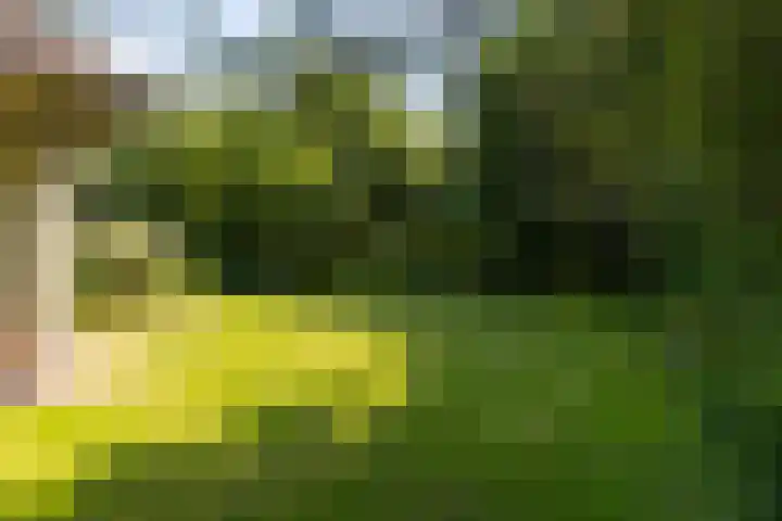 Höfteweg 2 l Ruurlo thumbnail 26