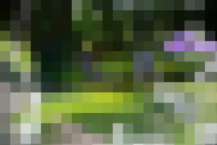 Höfteweg 2 l Ruurlo thumbnail 30