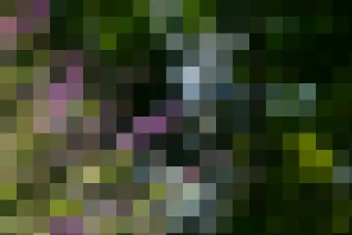 Höfteweg 2 l Ruurlo thumbnail 31