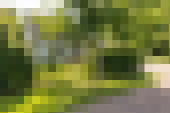 Höfteweg 2 l Ruurlo thumbnail 32