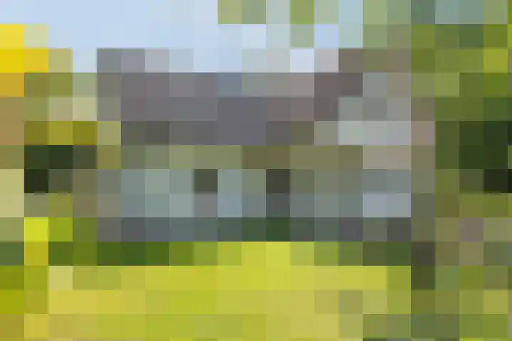 Höfteweg 2 l Ruurlo thumbnail 36