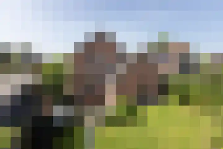Höfteweg 35 Neede thumbnail 32