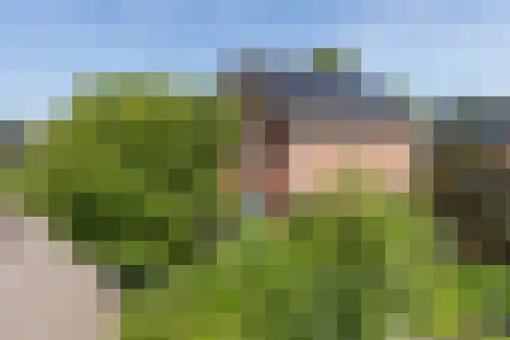 Höfteweg 35 Neede thumbnail 38