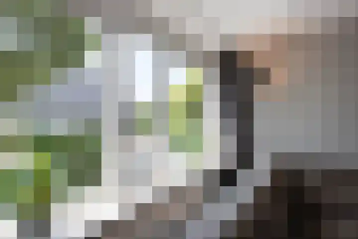 Höfteweg 35 Neede thumbnail 5