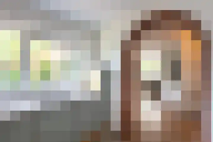Höfteweg 35 Neede thumbnail 9