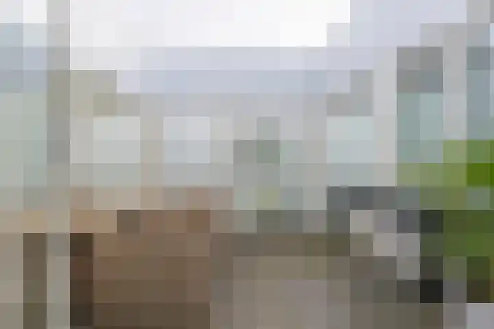 Hoftuinplein 27 Rijnsburg thumbnail 6