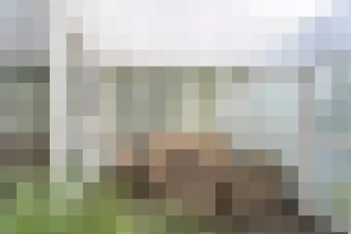 Hoftuinplein 27 Rijnsburg thumbnail 7