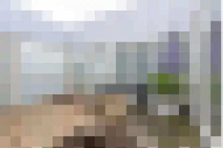 Hoftuinplein 27 Rijnsburg thumbnail 8