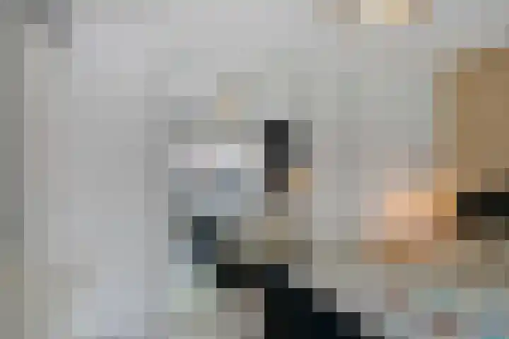 Hofveld 16 Apeldoorn thumbnail 17