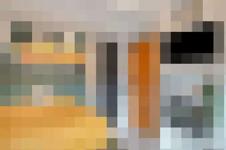 Hofveld 16 Apeldoorn thumbnail 21