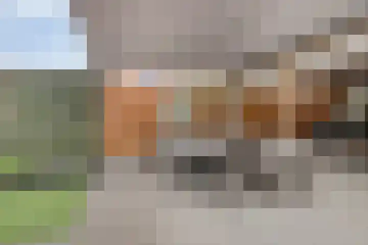 Hofveld 16 Apeldoorn thumbnail 32