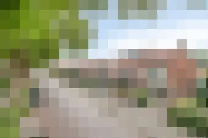 Hofveld 16 Apeldoorn thumbnail 41