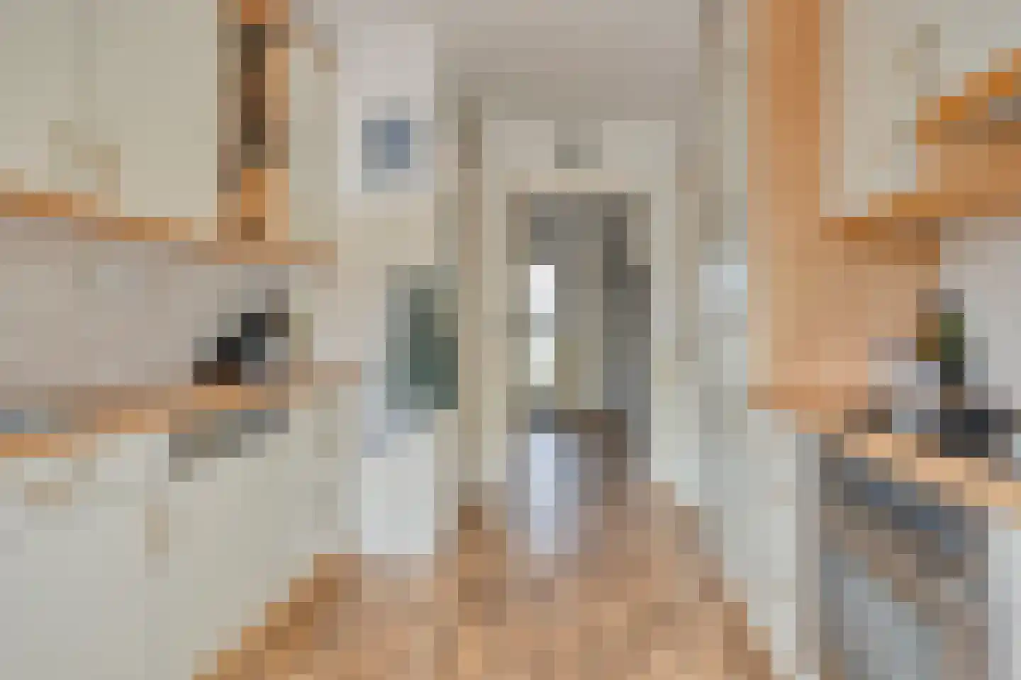 Hofveld 17 Apeldoorn thumbnail 17