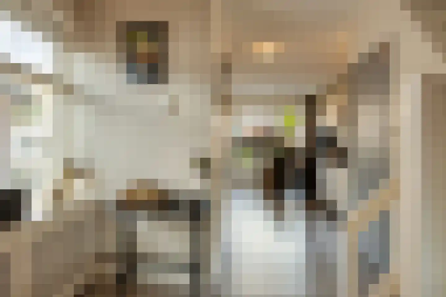 Hofveld 3 Apeldoorn thumbnail 11