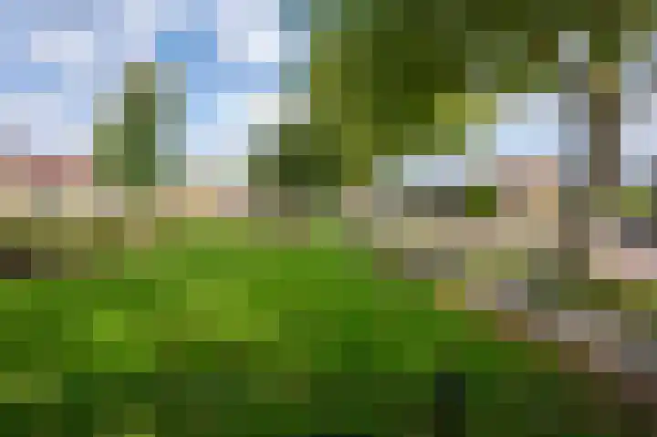 Hofveld 41 Apeldoorn thumbnail 25