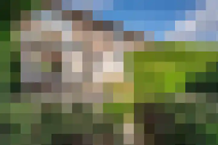 Hofveld 41 Apeldoorn thumbnail 26