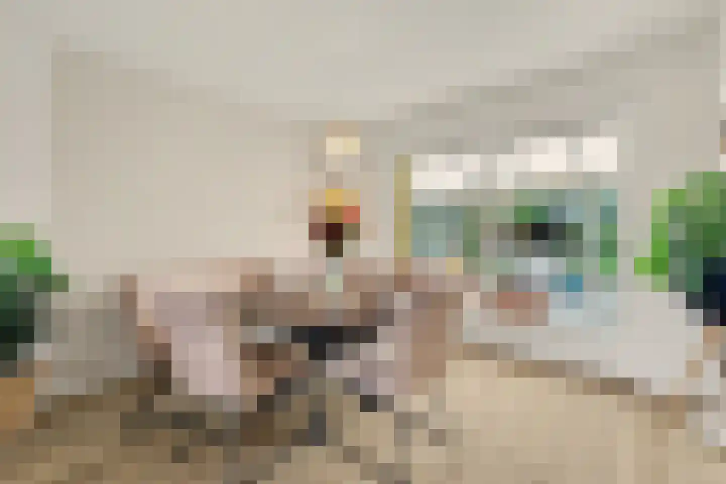 Hofveld 5 Hoogeloon thumbnail 19