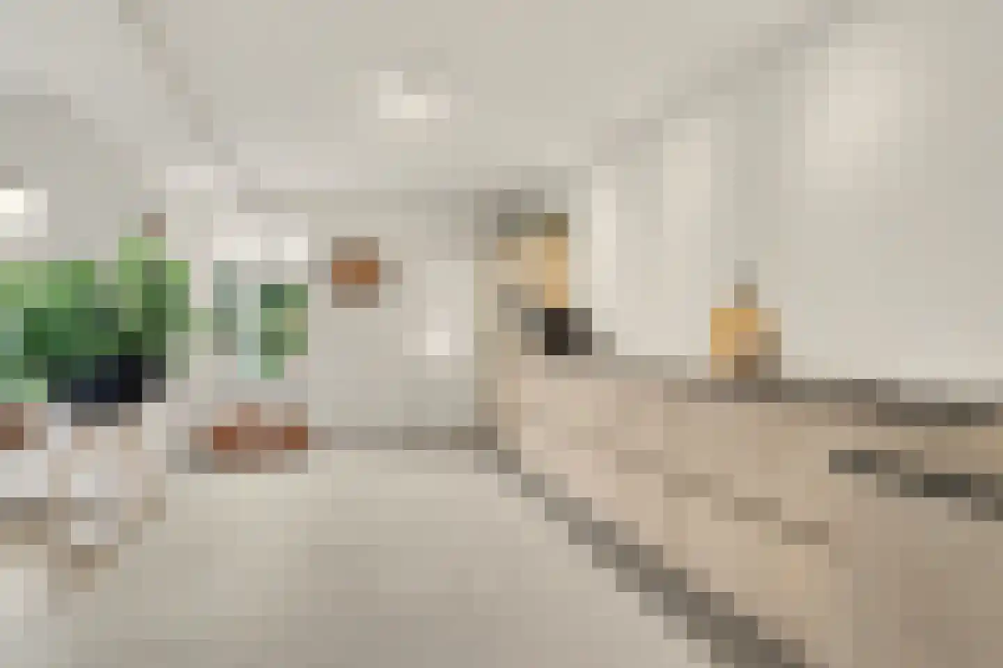 Hofveld 5 Hoogeloon thumbnail 23