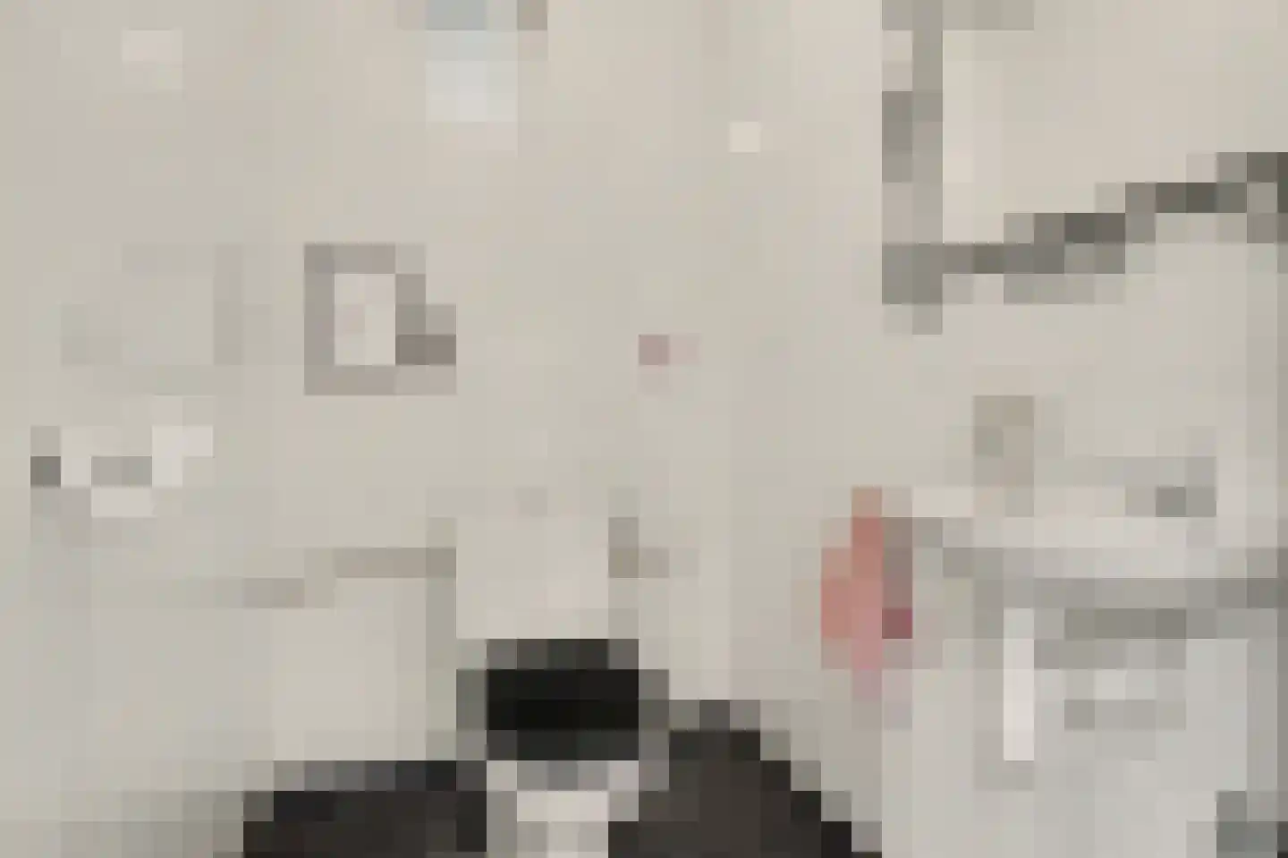 Hofveld 5 Hoogeloon thumbnail 33