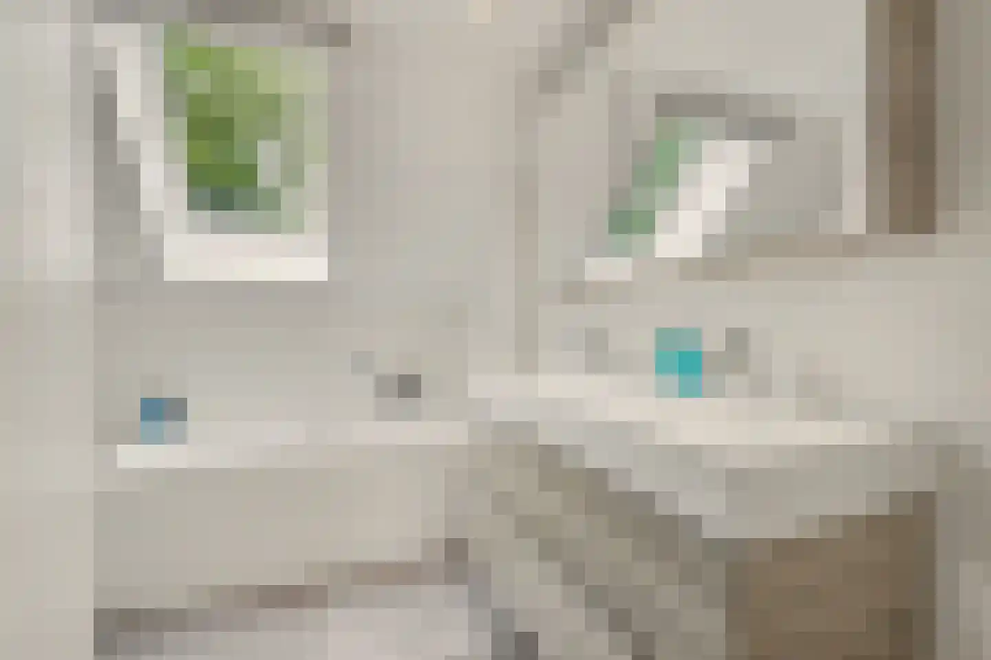 Hofveld 5 Hoogeloon thumbnail 46
