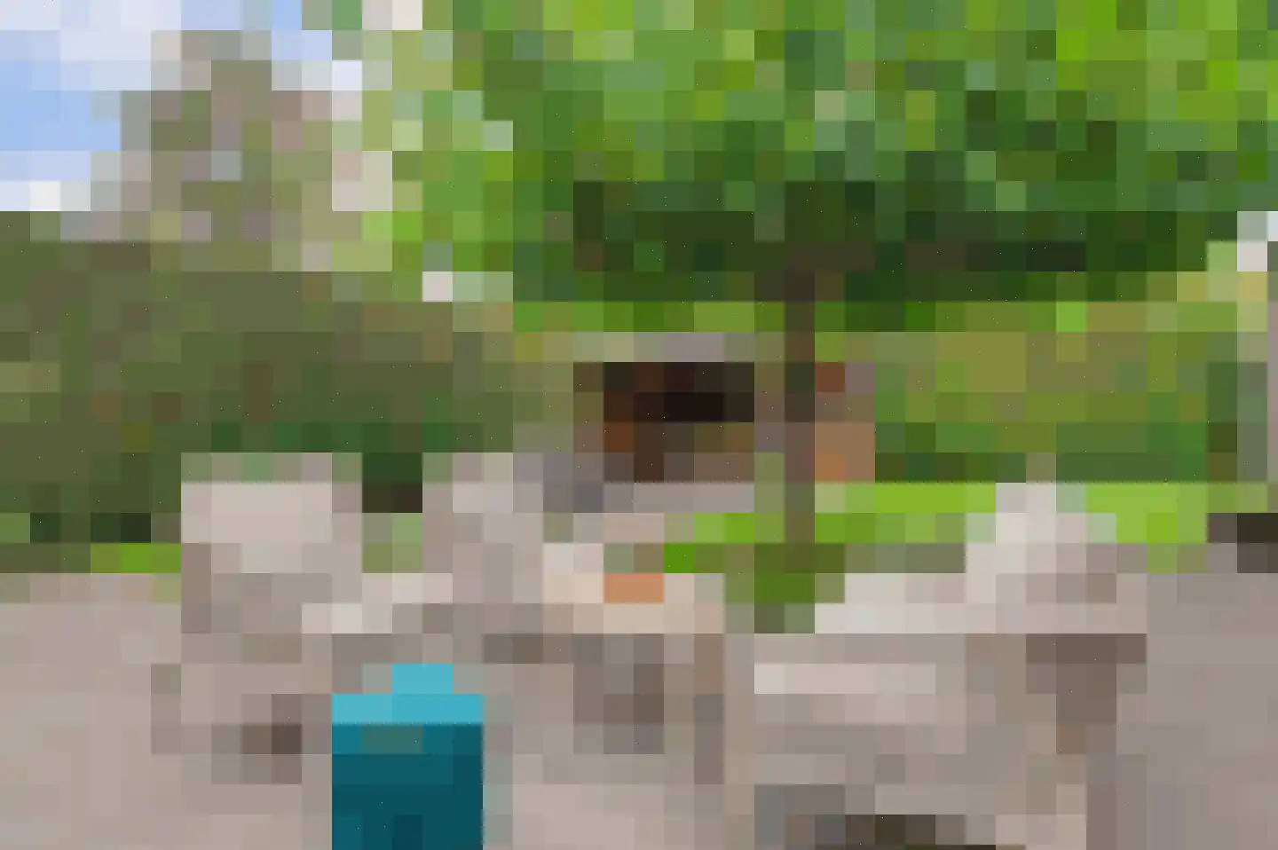 Hofveld 5 Hoogeloon thumbnail 56