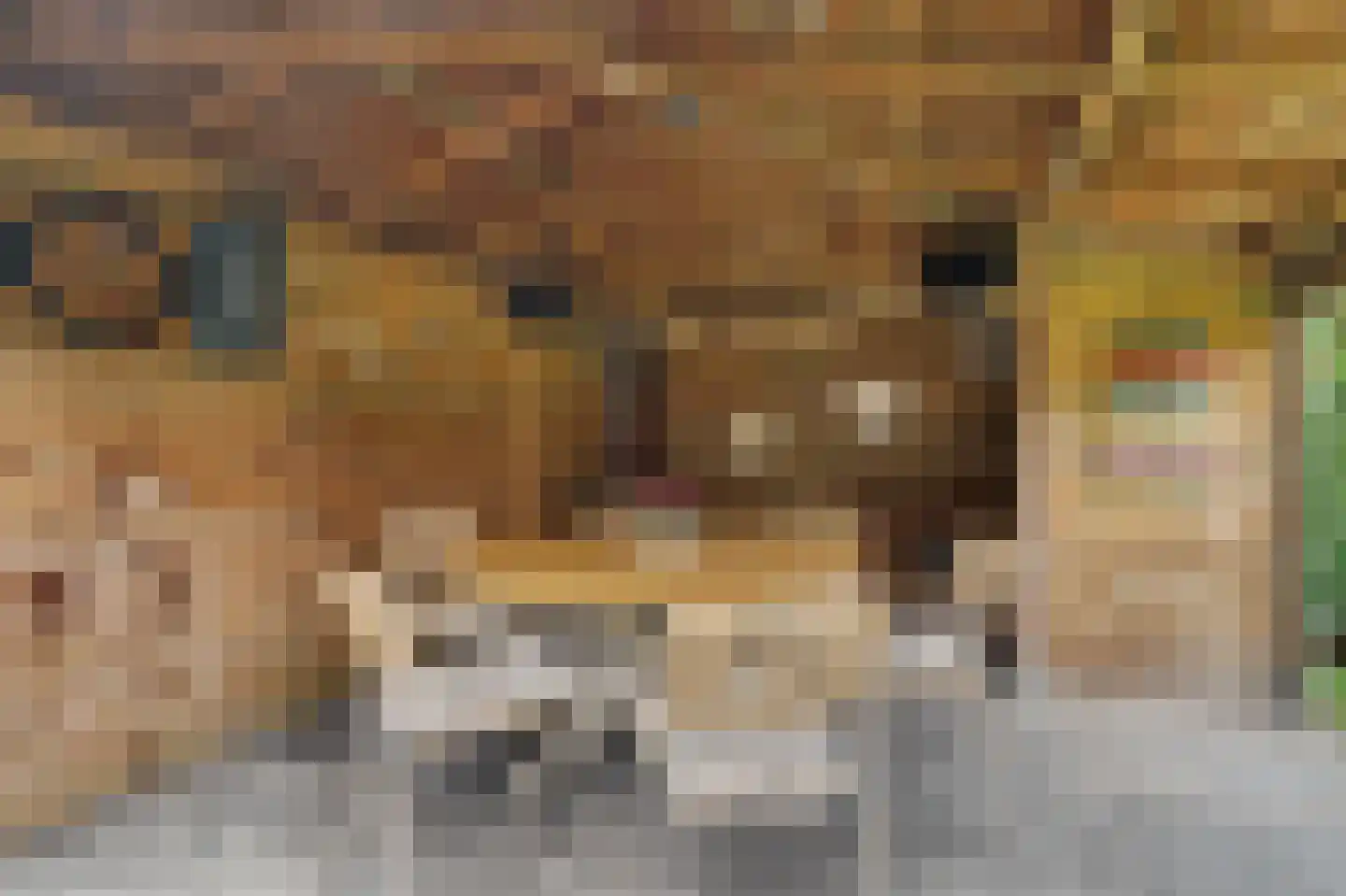 Hofveld 5 Hoogeloon thumbnail 61