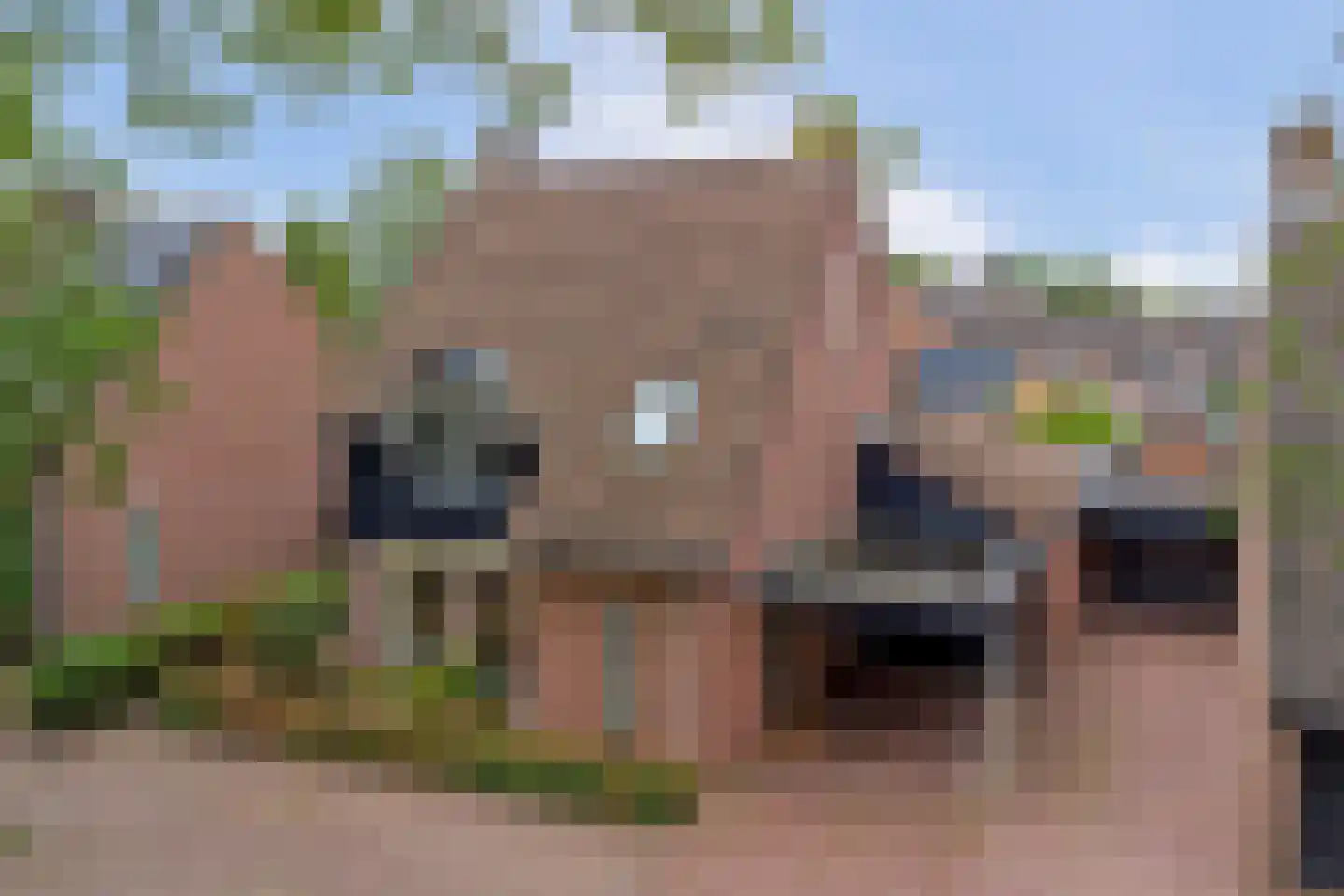 Hofveld 5 Hoogeloon thumbnail 62