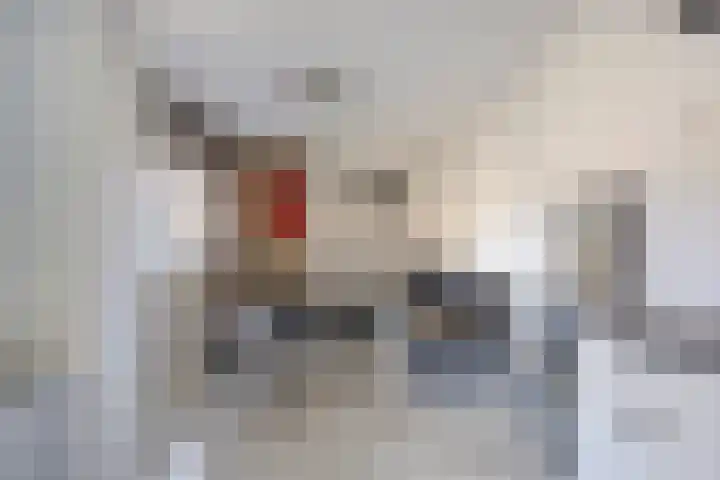 Hofveld 51 Apeldoorn thumbnail 8