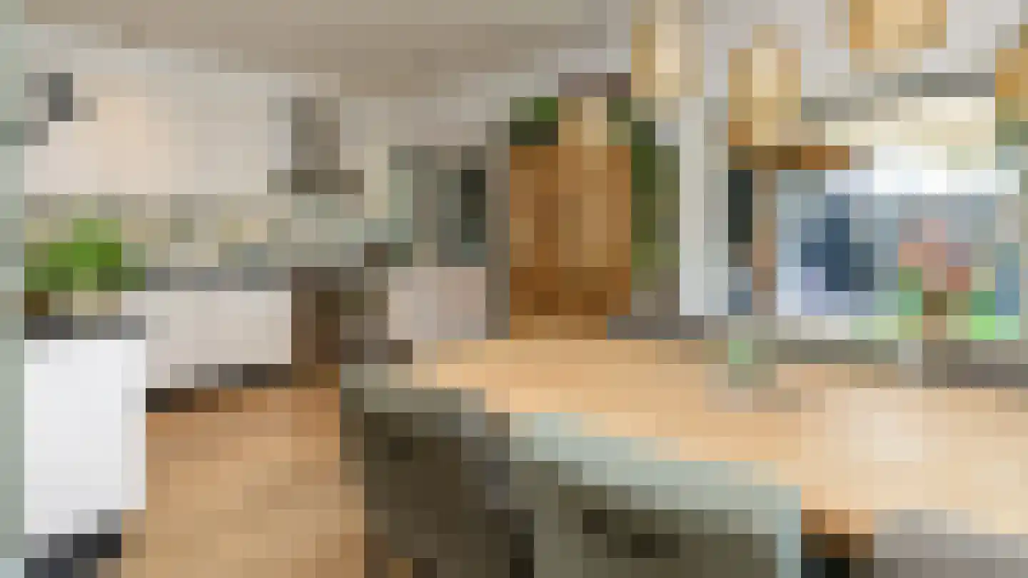 Hofveld 53 Apeldoorn thumbnail 11