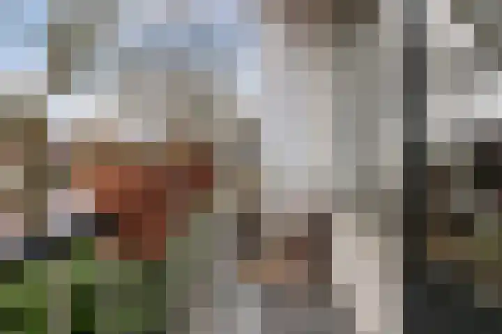 Hofveld 78 Apeldoorn thumbnail 10