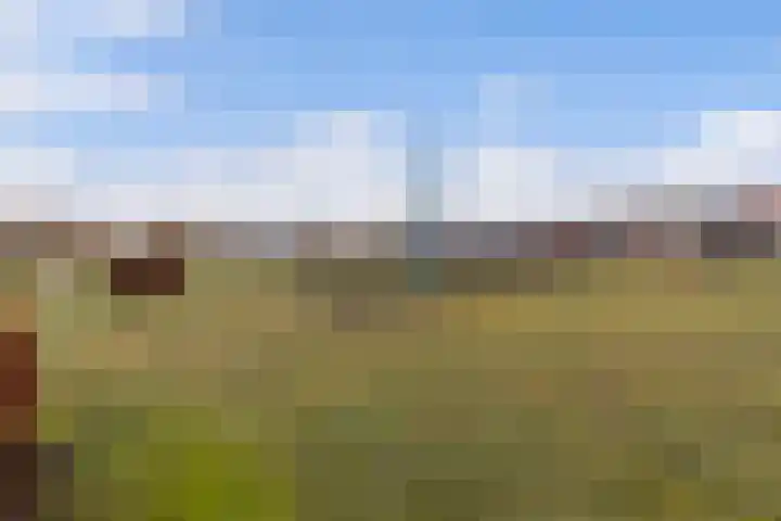 Hofveld 78 Apeldoorn thumbnail 33