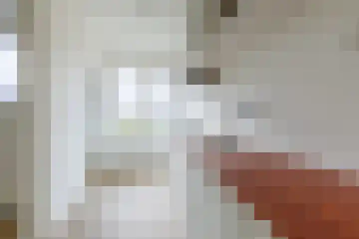 Hofveld 90 Apeldoorn thumbnail 10